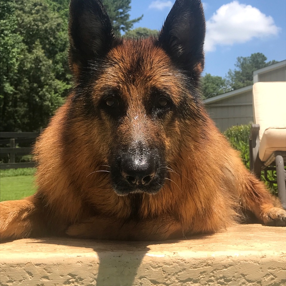 Meet your Posher, Wendy